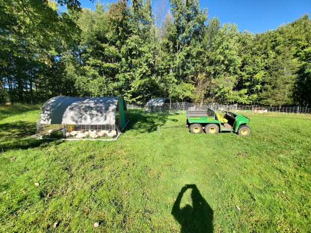 Pasture Chicken Tractor